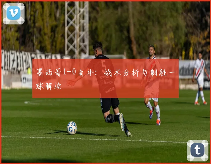 墨西哥1-0南非:战术分析与制胜一球解读