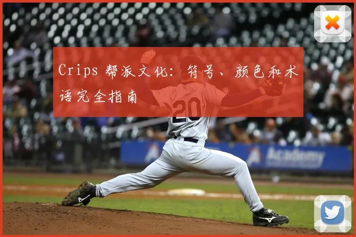 Crips 帮派文化：符号、颜色和术语完全指南