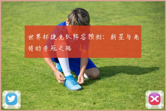 世界杯捷克队阵容预测：新星与老将的夺冠之路